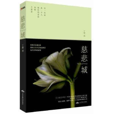 《慈悲城》丁墨【摘要 书评 在线阅读】