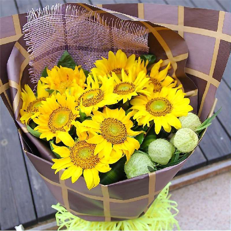 鲜花10枝向日葵