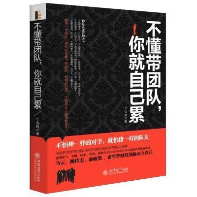 《不懂带团队你就自己累》丁兴良【摘要 书评