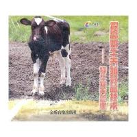 提高奶牛养殖犊牛效益技术饲养管理【v犊牛大李珍妮视频图片