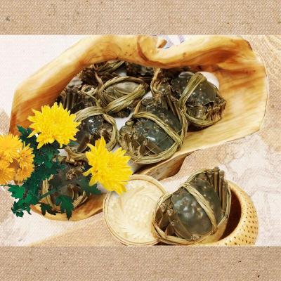 新孟河大闸蟹10只精美礼盒装 母2.6-3两 公3.6-4两