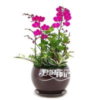 eiji爱拍]加]Q[Q16758625[多少钱]代发表[代写[论