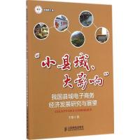 小县域、大影响:我国县域电子商务经济发展研