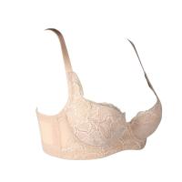 嘉莉诗<em>国际</em>戴安娜正品蕾丝边聚拢上托舒适调整