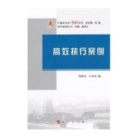 高效执行案例:案例系列