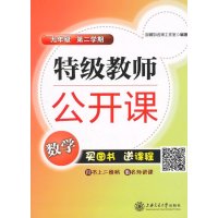 特级教师公开课9年级数学.第2学期