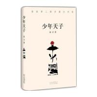 少年天子 凌力 著 北京十月文艺出版社 历史小说