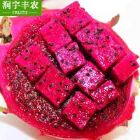 【润宇丰农】越南红心火龙果5斤| 热带新鲜进口