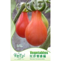 我要发芽 蔬果种子 红洋梨番茄种子 圣女果 酸甜