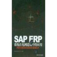 SAP ERP系统在电网建设中的应用:探索大型项