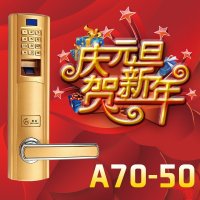 黑龙 智能电子锁 密码锁 指纹锁H7050,质量好的