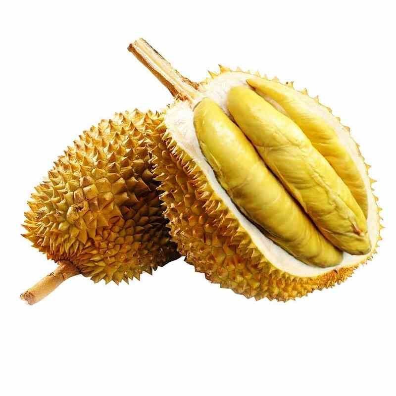 ̩