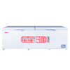 星星(XINGX) BD/BC-718G 718升 卧式冷柜 冷柜 冰柜 大冰柜 商用保鲜冷藏冷冻转换柜 机械控温