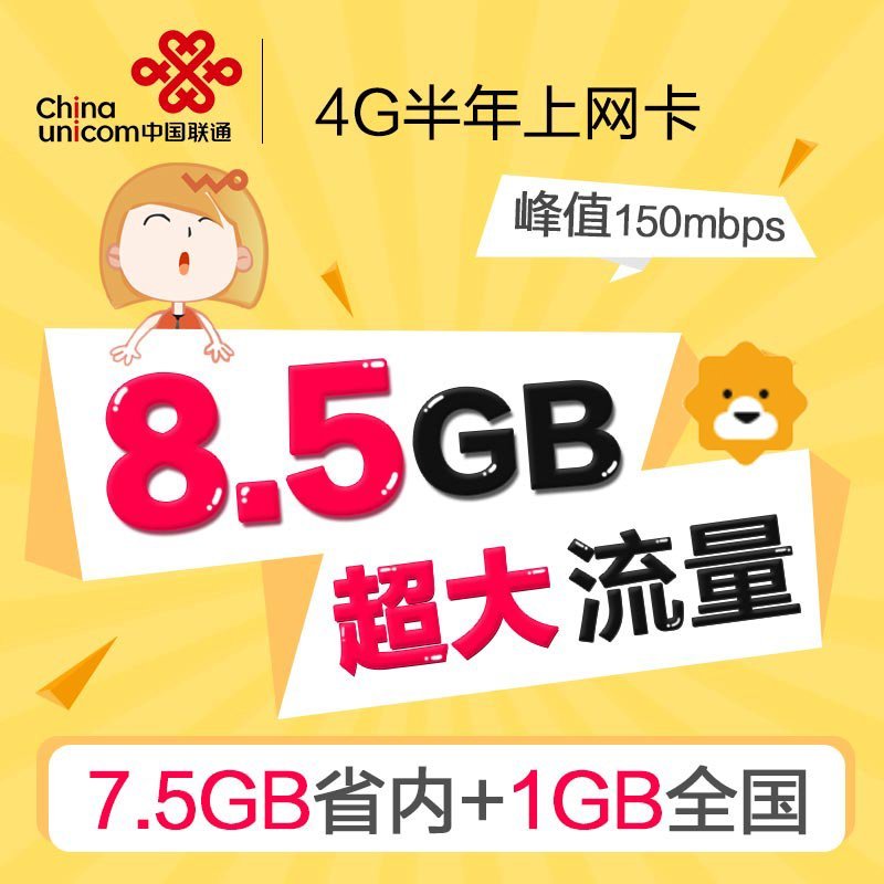 武汉联通4G网卡8.5GB版