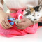 洗猫袋多功能猫咪洗澡神器宠物猫包专用可拆卸洗澡袋子剪指甲用品 桔色（1代基础款）