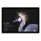 Surface Pro FJX-00009 256GB-8GB I5主机