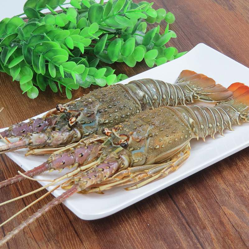 䶳С Ϻ޴450-500g/