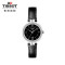 天梭(TISSOT)手表 弗拉明戈系列钢带石英女表T094.210.22.111.00 T094.210.33.111.00