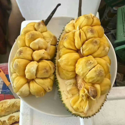  4-5 ʼˮ С
