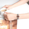 天王表(TIANWANG)手表 时尚简约休闲石英表防水钢带女士腕表LS31010 银盘玫瑰金圈女表