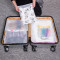 旅行收纳袋衣服衣物内衣整理密封袋行李箱分装透明家用防水打包袋_2 仙人掌3大+4中+3小