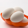 鹅蛋 老鹅蛋 处子草鹅蛋 草鹅蛋 新鲜土鹅蛋 大白鹅蛋 12枚装（毎枚130-150g）