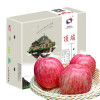 洛川苹果新鲜陕西红富士苹果6枚大果苹果当季水果