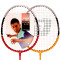 红双喜DHS羽毛球拍家用健身训练对拍1012铝合金羽毛球拍 业余初级标准球拍 1012羽拍/2支装 默认颜色