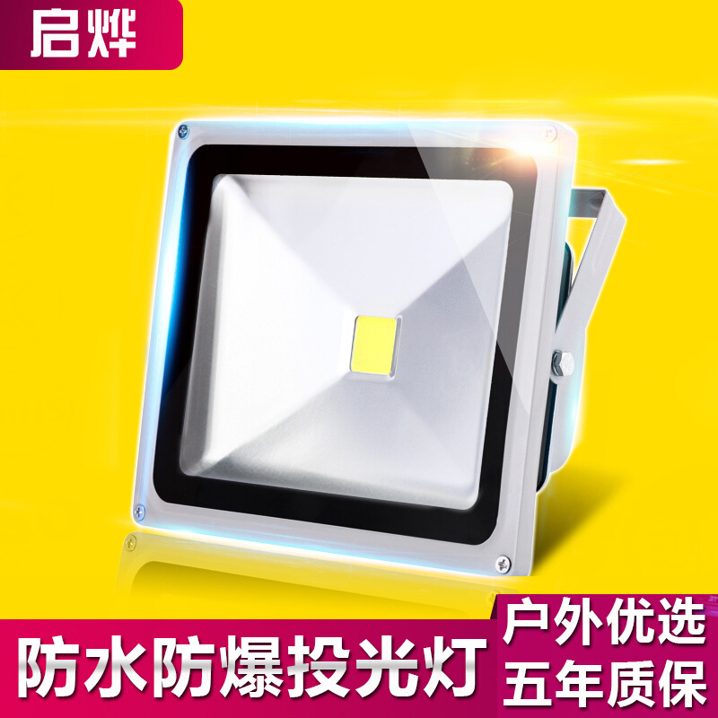 led投光灯防爆灯投射灯户外50W100W防厂房路灯广告灯工厂庭院灯 30W豪华款大功率-照射面积30平-白光