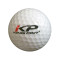 DUNLOP高尔夫球杆套杆男士碳素杆身全套球具DDH系列 KP球3颗-3