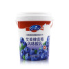 艾美Emmi 瑞士进口酸奶蓝莓风味1kg低脂益生菌发酵乳 酸牛奶 牛奶饮品 生牛乳制作 分享装