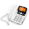 TCL HCD868(206)TSD 来电显示电话机 （珍珠白）