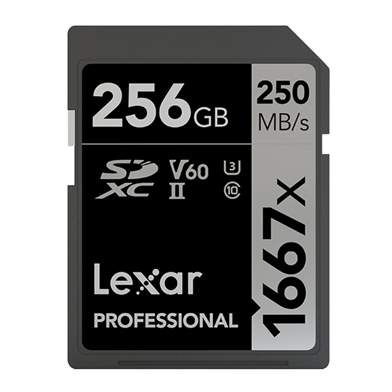 雷克沙 SD卡 256GB 1667X（LSD256CRBCN1667）