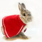 兔子衣服猫猫兔垂耳兔披风圣诞迷你裙兔子斗篷泰迪狗狗猫咪斗篷兔子装饰品_1 S码(适合脖围26-30cm的宝宝)