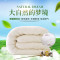 家春秋全棉棉胎 1.2*2.0m 2斤