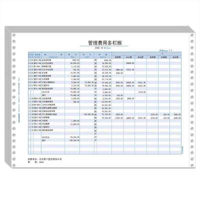 西玛simaa 针打tw231多栏明细账tw231s(立信通用)381*