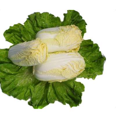 新鲜蔬菜 精品高山娃娃菜 3颗装 微型大白菜 精