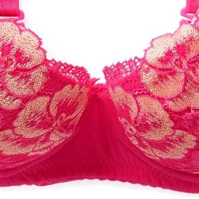 莉诗正品内衣下属艳遇女性感糖果3080221C花语专柜各胸型文图片