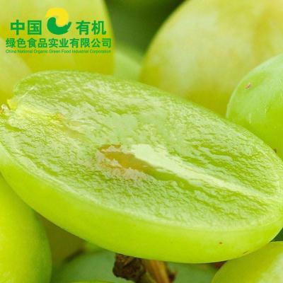 中国有机绿色食品 进口水果 美国青提 500g