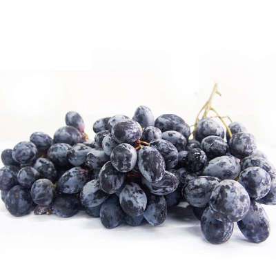 【进口水果汇】新鲜智利进口黑提 无籽黑提 果