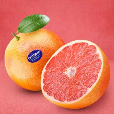 南非进口红西柚4个装 新鲜水果 葡萄柚红肉柚