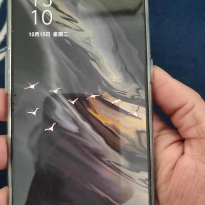 OPPO Reno4 SE 5G 超闪黑 8G+256G 全网通 65W超级闪充 169g轻薄机身 小光芒设计 拍照游戏智能手机晒单图
