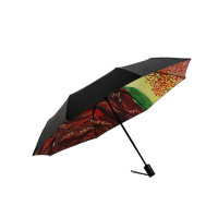 天堂伞 30102 雨伞 单个装（如有颜色需求请在备注中说明）