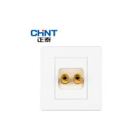 正泰(CHNT) 两孔音响插座 NEW2-C32400 白色