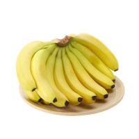 [苏鲜生]福建天宝香蕉3斤箱装 新鲜当季水果 精品 香甜软糯 孕妇宝宝辅食
