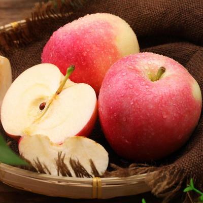 [西沛生鲜] 现摘新鲜水果 山西膜袋丑苹果 大果 带箱5斤 9-10个 当季酸甜苹果 口感脆甜 西沛