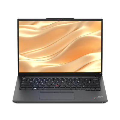2023款联想ThinkPad E14 0CCD 14英寸 轻薄办公商务笔记本电脑 定制(酷睿I7-13700H 40G 2TBSSD 2.2K屏) 黑色