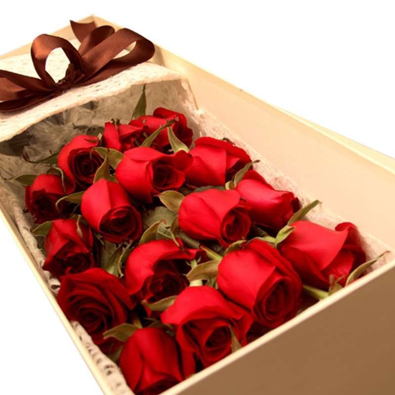 春舞枝 鲜花速递 礼盒装鲜花19朵玫瑰花束 盒装鲜花 白玫瑰红玫瑰粉