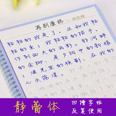 徐静蕾字体 女生字帖 初学者行楷初高中大学生成人钢笔行书练字板