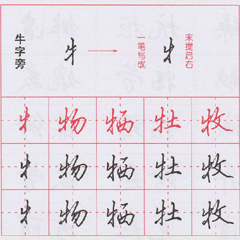 共6样 田英章行书钢笔字帖最佳套装5本 成人练字帖速成 硬笔行书字帖